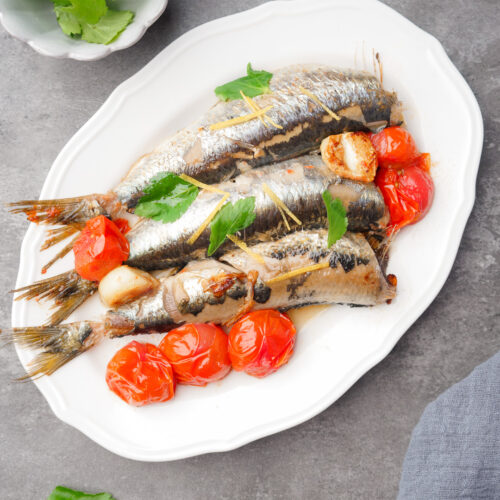 白い楕円皿に盛ったいわしのトマト煮に、ミニトマトとにんにくを添え、レモンの皮とハーブを散らした一皿